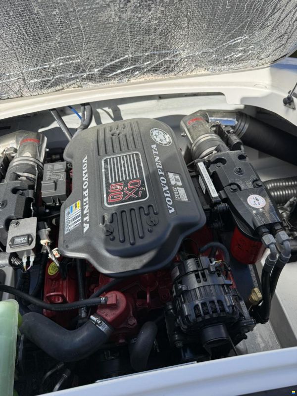 Chris Craft Speedster 20