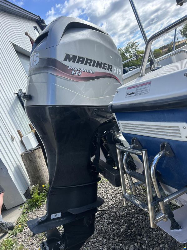 Bayliner trophy