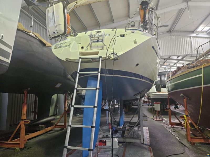 Bavaria 37 Exclusive