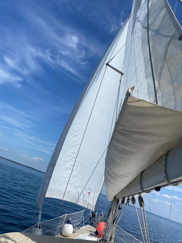 Bavaria 37 Exclusive
