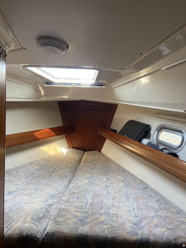 Bavaria 37 Exclusive