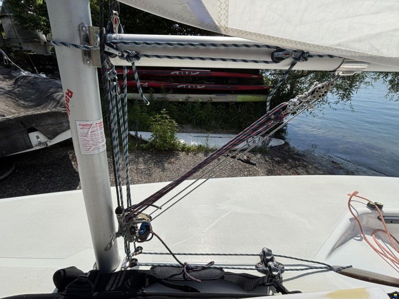 Laser Standard / Radial