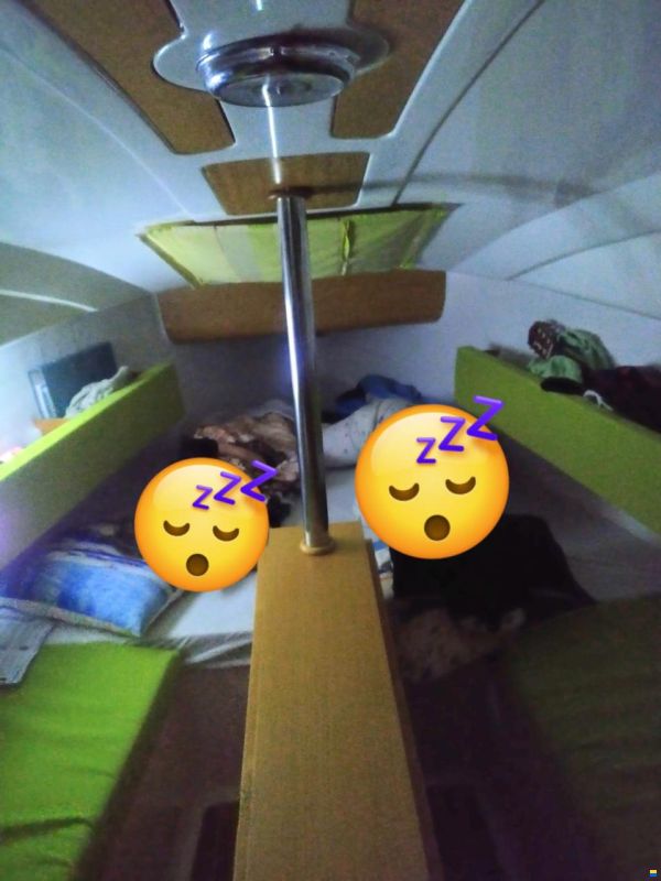 Maxus 21