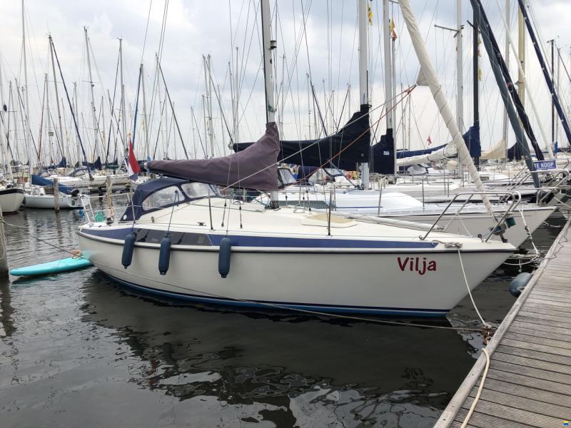 Maxi 84