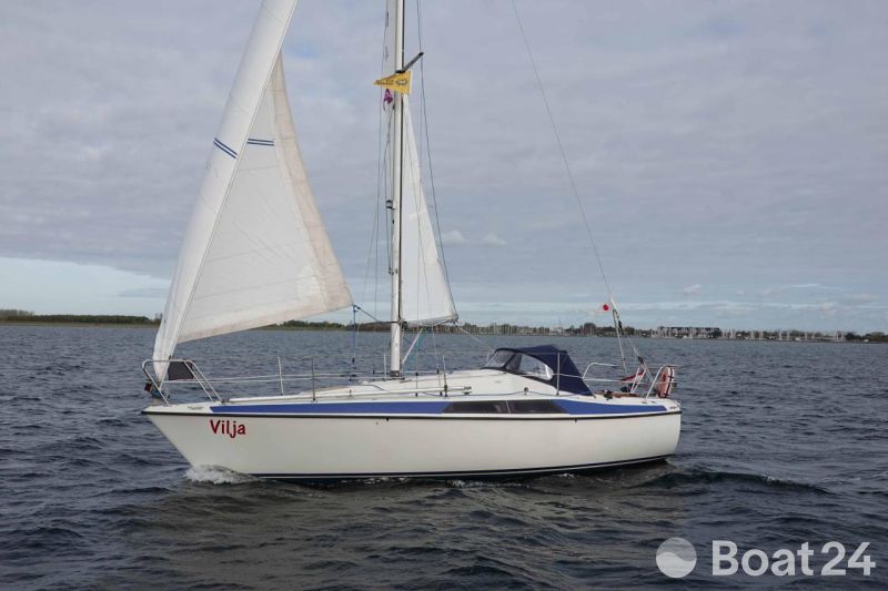 Maxi 84