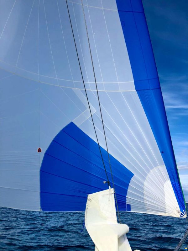 Mini 6.50 Proto