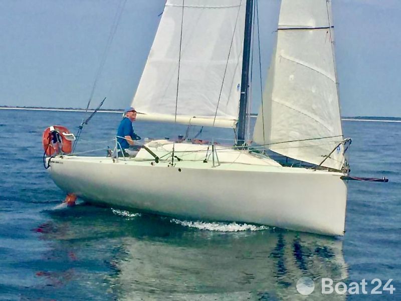 Mini 6.50 Proto