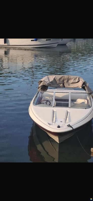 Bayliner Sportboot