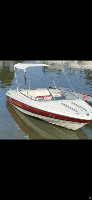 Bayliner Sportboot