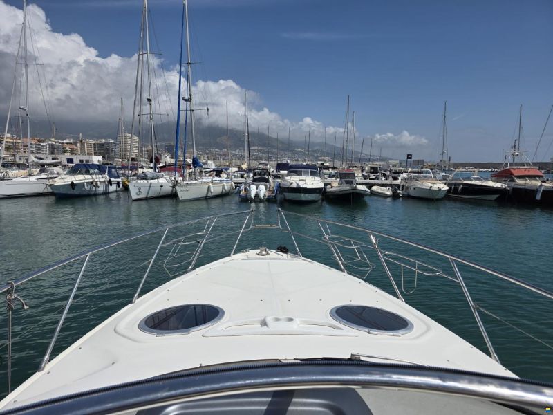 Cranchi Endurance 41