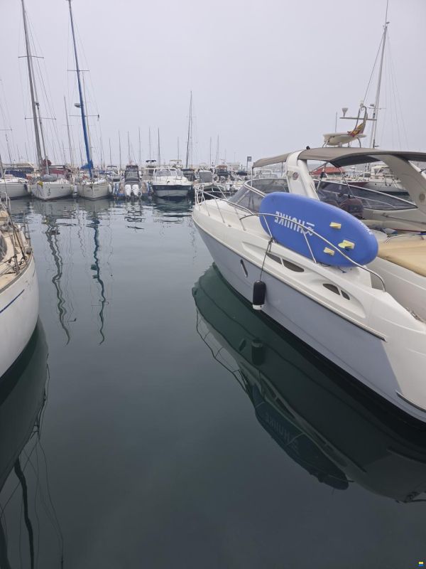 Cranchi Endurance 41