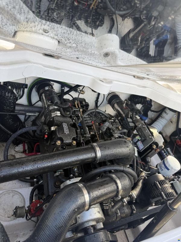 Donzi 22 ZX High Performance Supercharged