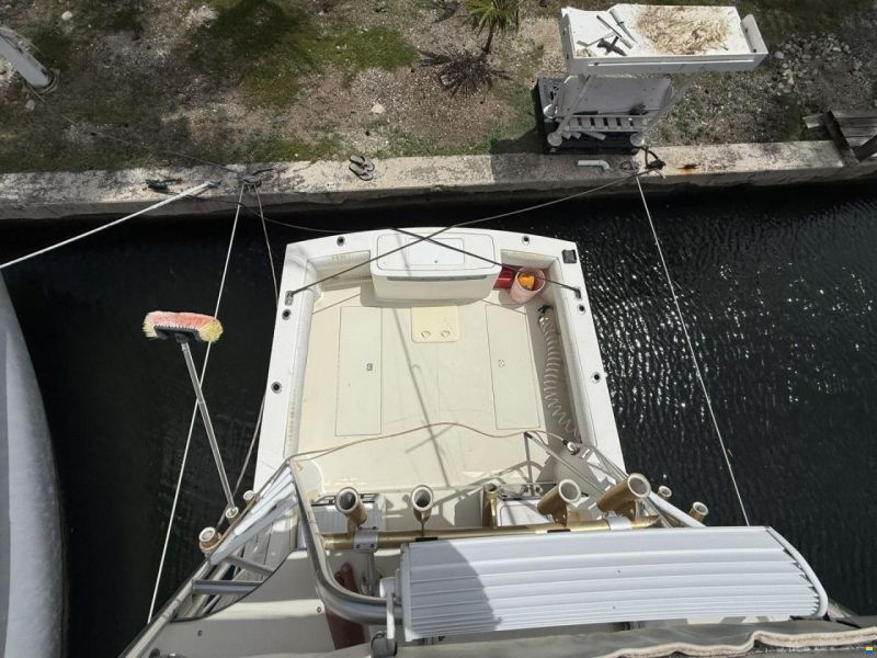 Carolina Classic 28