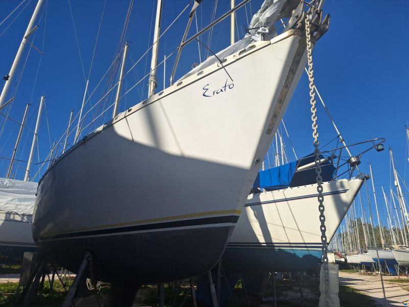 Dromor Discovery 3000