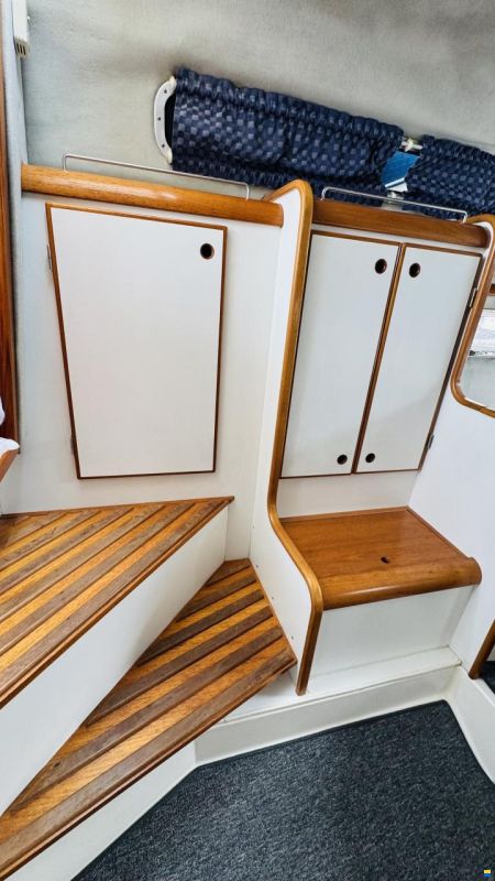 Nimbus 29 DC Riviera
