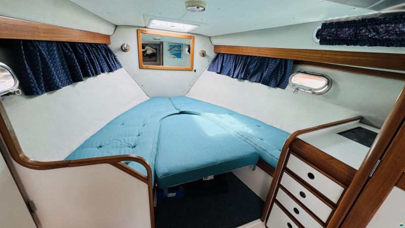 Nimbus 29 DC Riviera