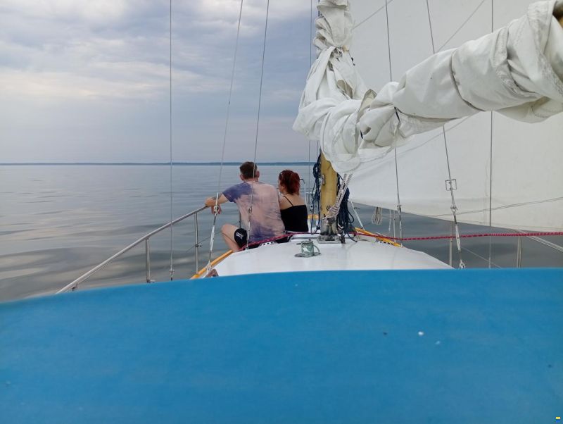 Seahawk 31 L