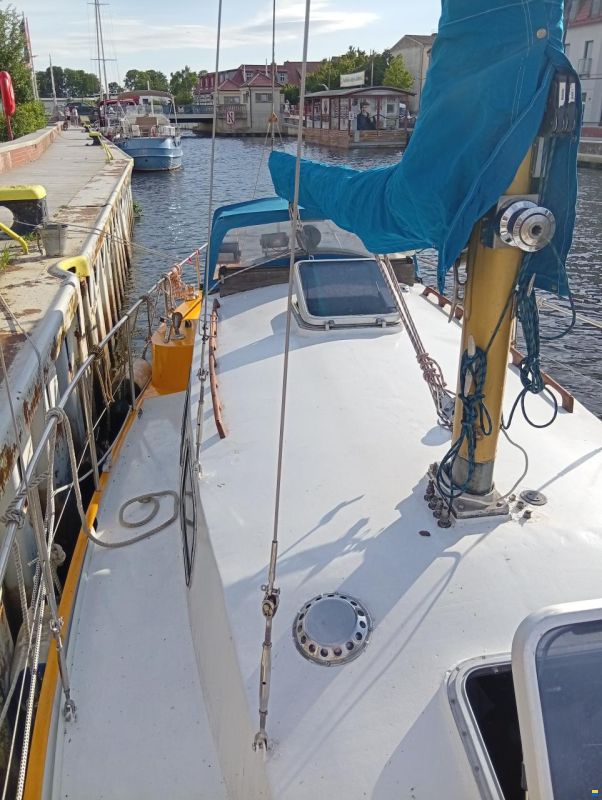 Seahawk 31 L