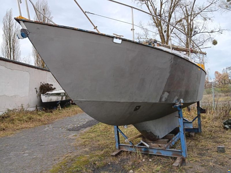 Seahawk 31 L