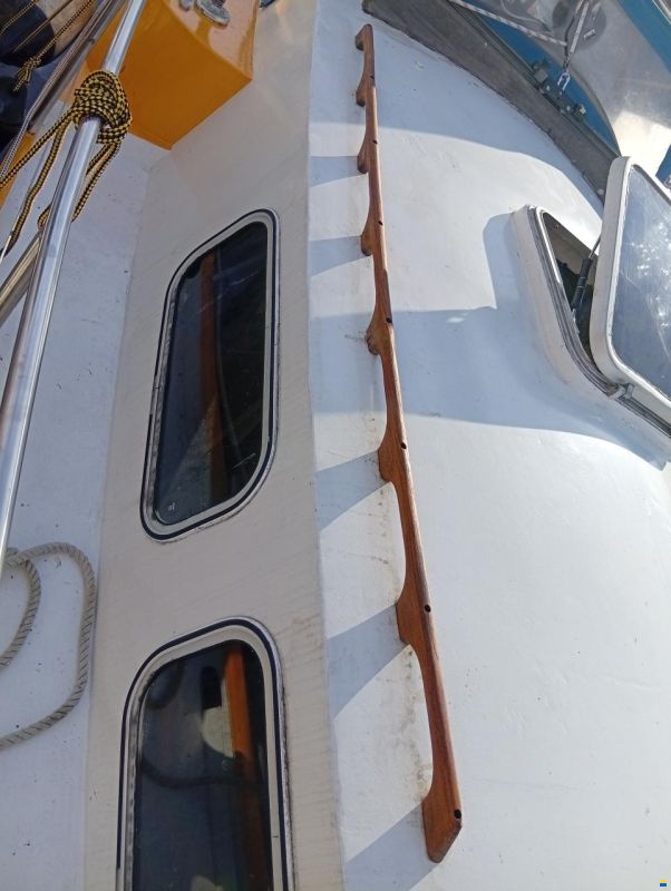 Seahawk 31 L