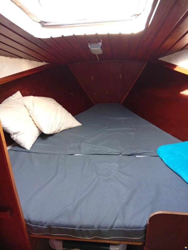 Seahawk 31 L