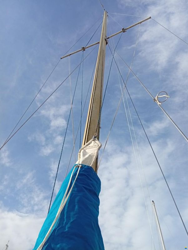 Seahawk 31 L
