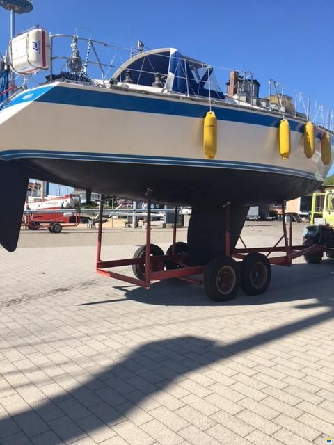 Wauquiez Centurion 38