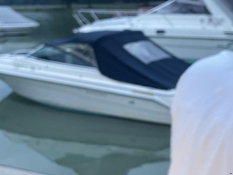 Sea Ray 200 Cuddy Cabin