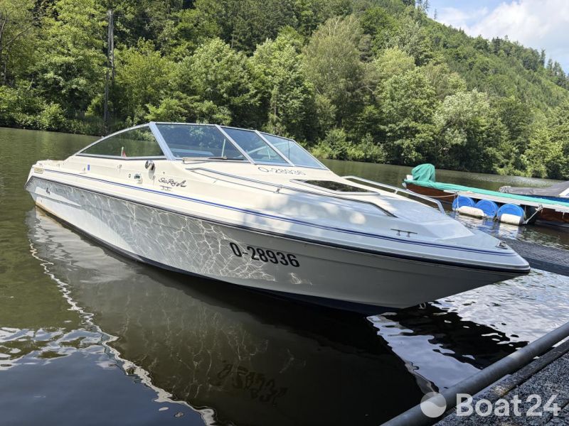 Sea Ray 200 Cuddy Cabin