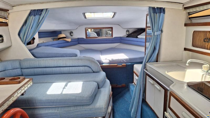 Sea Ray 270 DA
