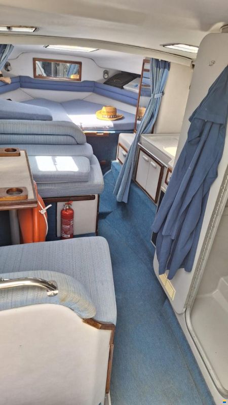 Sea Ray 270 DA
