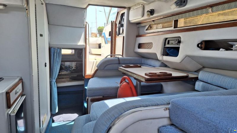 Sea Ray 270 DA