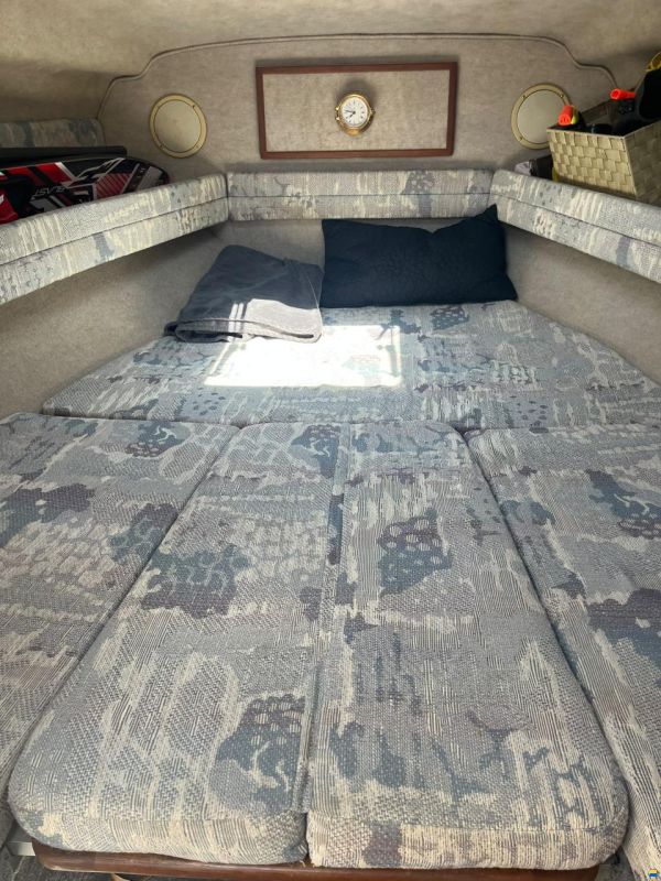 Sea Ray 230 DA LTD