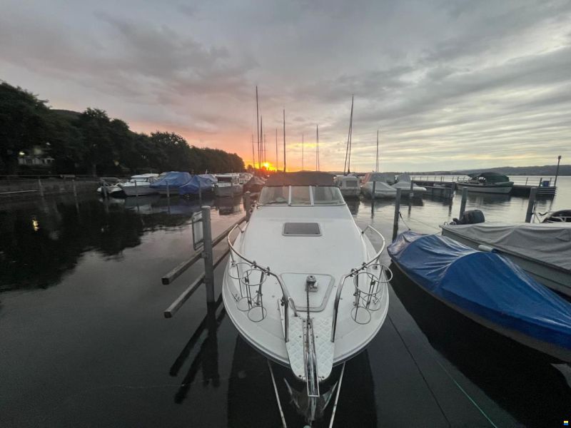 Sea Ray 230 DA LTD