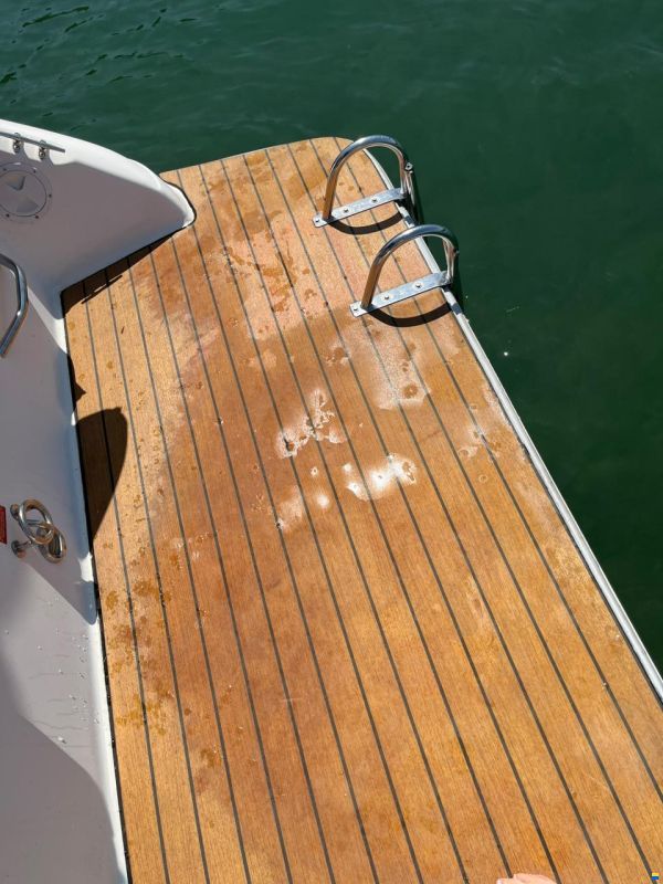 Sea Ray 230 DA LTD