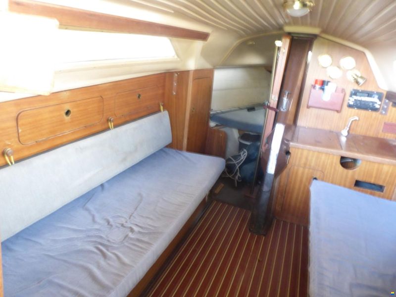 Dehlya 25