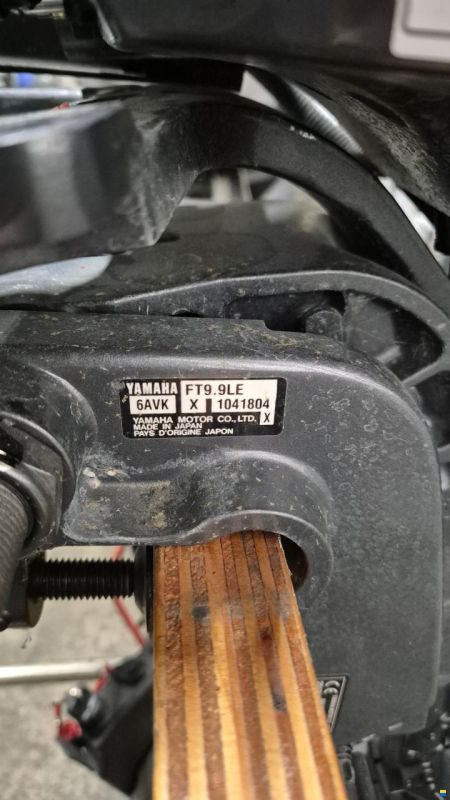 Yamaha FT9.9LEX