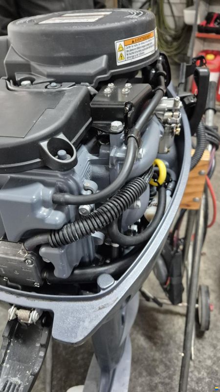 Yamaha FT9.9LEX