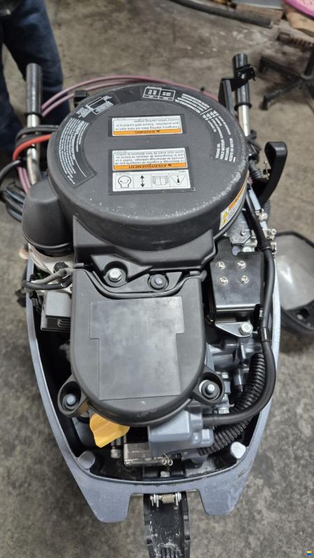 Yamaha FT9.9LEX