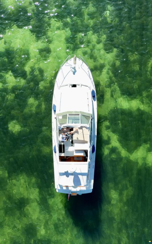 Coronet Oceanfarer 32 Wing