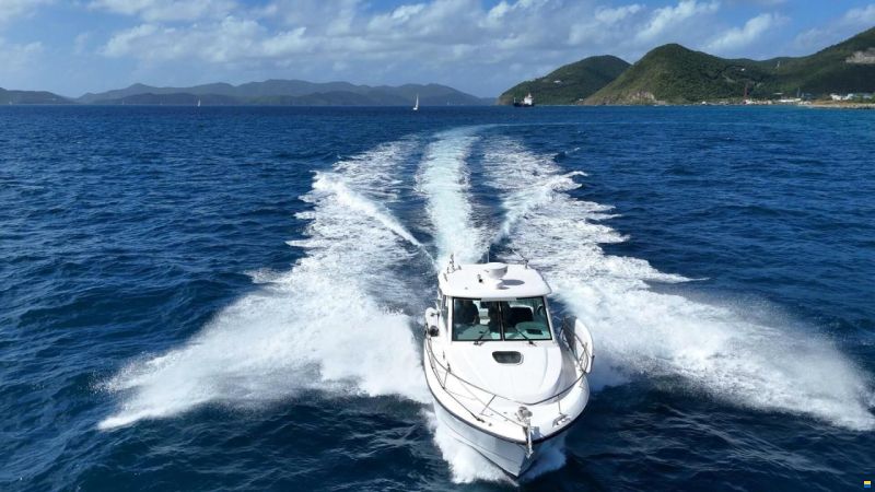 Boston Whaler Conquest 315