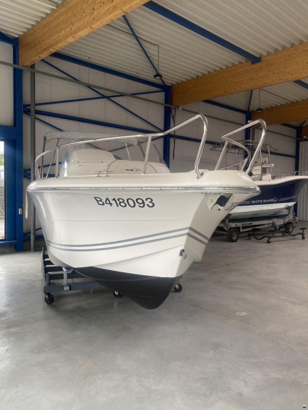 White Shark 248 Sundeck