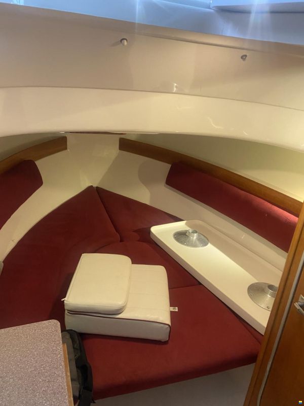 White Shark 248 Sundeck