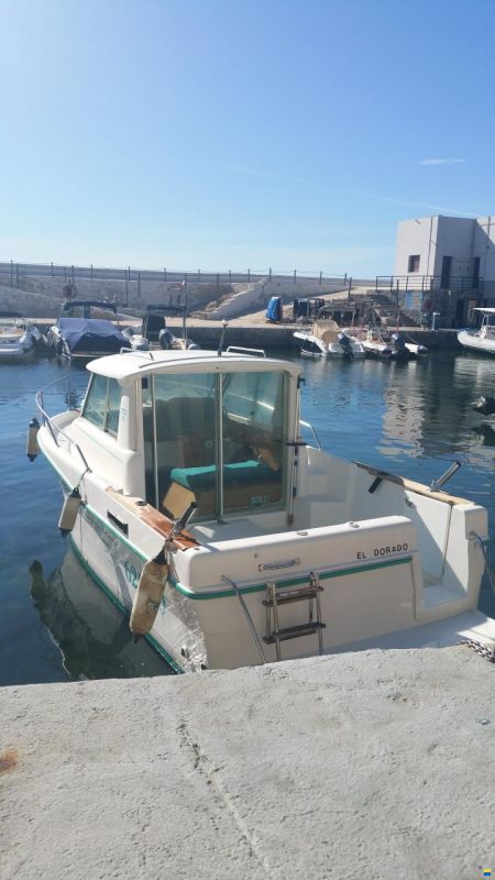 Ocqueteau 6.25