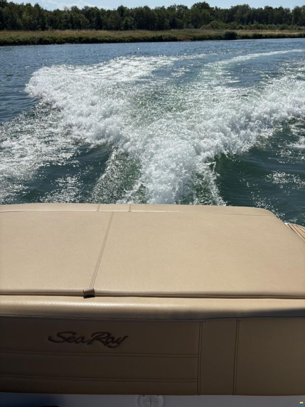 Sea Ray SPXE 190