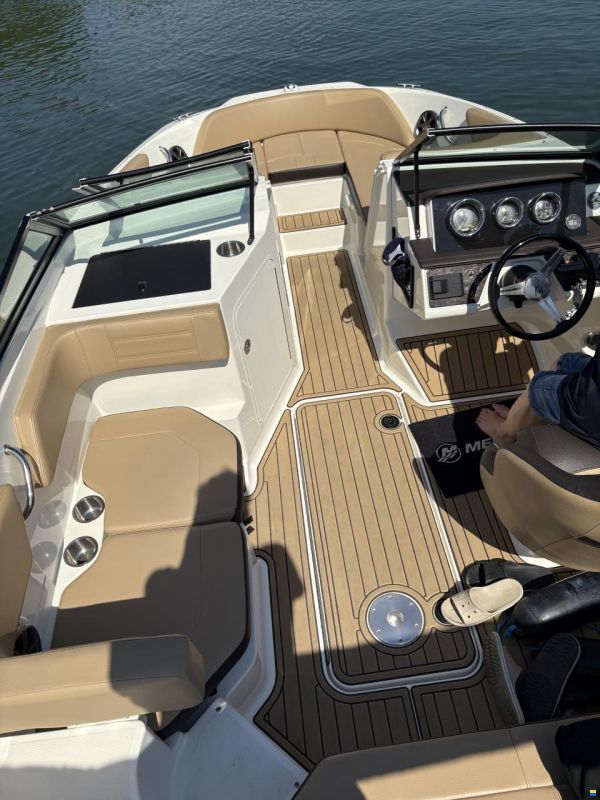 Sea Ray SPXE 190