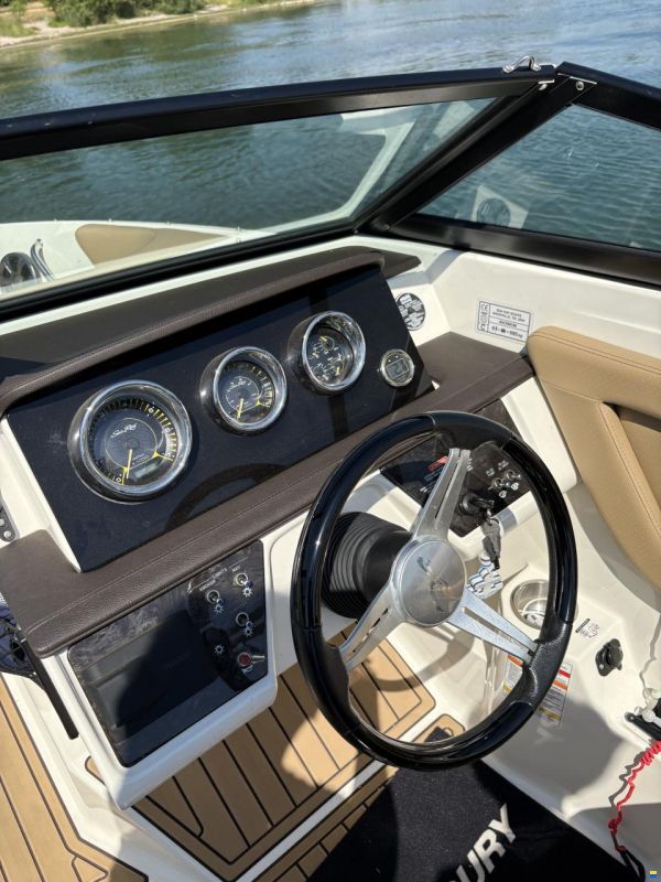 Sea Ray SPXE 190