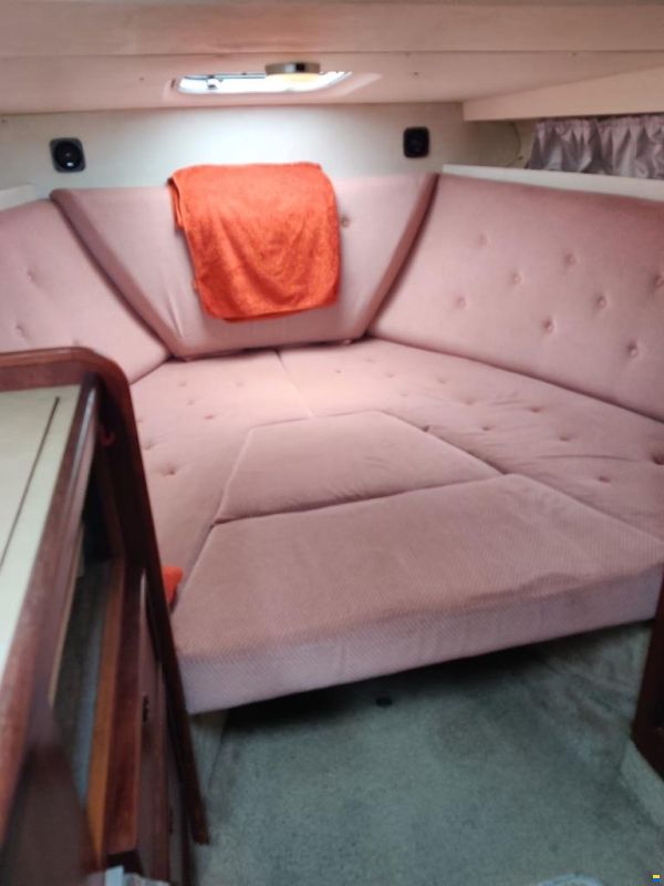Fairline Carrera 24