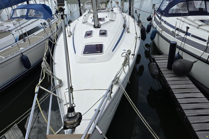 Bavaria 36-3 cabin