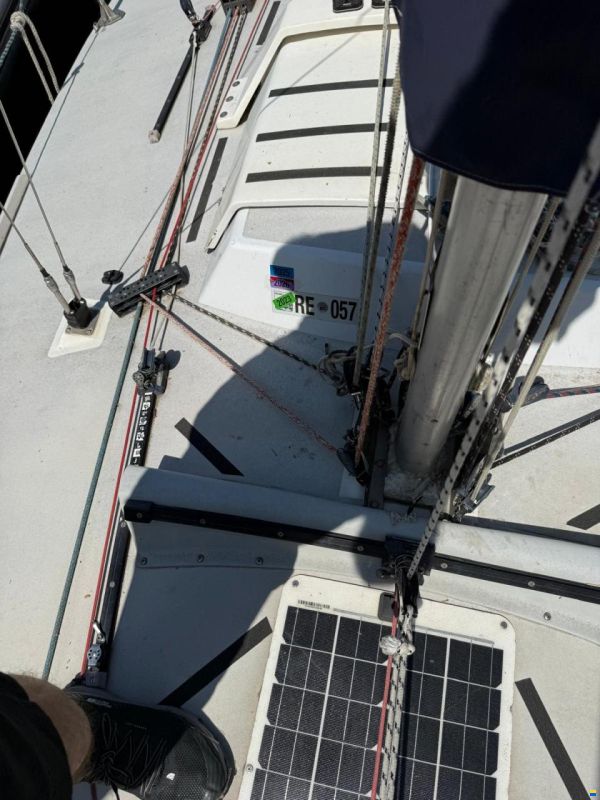 Dolphin 81 Jollenkreuzer